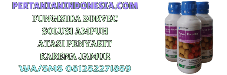 fungisida,zorvec,zorvec encantia 330 se,pestisida,jamur,pertanian indonesia